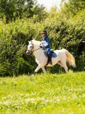 DSC01566 DSC01566