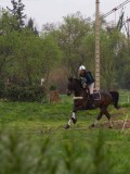 IMG_0502