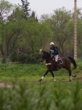IMG_0503