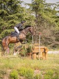 IMG_0129