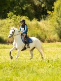 DSC00894 DSC00894