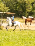 DSC00899 DSC00899