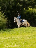 DSC01579 DSC01579