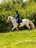 DSC01580 DSC01580