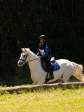 DSC01581 DSC01581