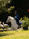 DSC01583 DSC01583