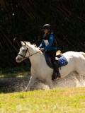 DSC01584 DSC01584