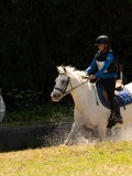 DSC01585 DSC01585