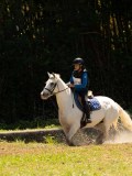 DSC01586 DSC01586