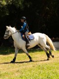 DSC01588 DSC01588