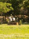 DSC00910 DSC00910
