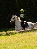 DSC01596 DSC01596