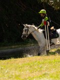 DSC01598 DSC01598