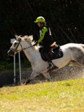 DSC01599 DSC01599