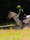 DSC01600 DSC01600