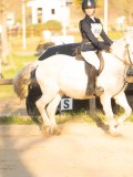 SGE03994