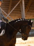 DSC02706 DSC02706