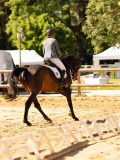 DSC02715 DSC02715