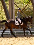 DSC02719 DSC02719