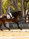 DSC02720 DSC02720