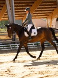DSC02724 DSC02724