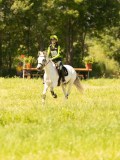 DSC00917 DSC00917
