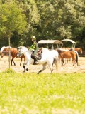DSC00924 DSC00924