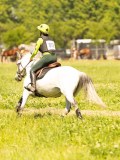DSC00929 DSC00929