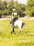 DSC00930 DSC00930