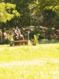 DSC00939 DSC00939