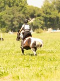 DSC00945 DSC00945