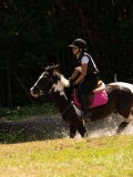 DSC01623 DSC01623