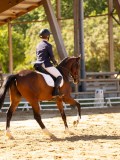 DSC02788 DSC02788