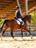 DSC02795 DSC02795