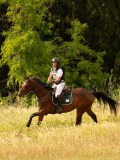 DSC04726 DSC04726