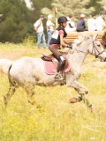 DSC09496