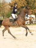 DSC02244 DSC02244