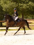 DSC01533