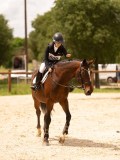 DSC04338 DSC04338