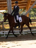 DSC02568 DSC02568