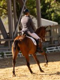 DSC02580 DSC02580