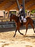 DSC02584 DSC02584