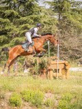 IMG_0118 IMG_0118