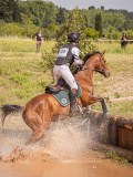 IMG_0136 IMG_0136