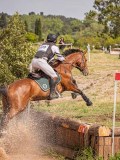 IMG_0137 IMG_0137