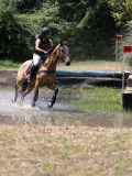 IMG_6971