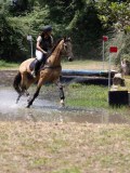 IMG_6972