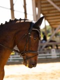 DSC02845 DSC02845