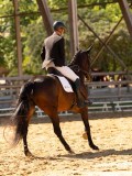 DSC02865 DSC02865