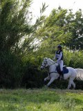 IMG_6190